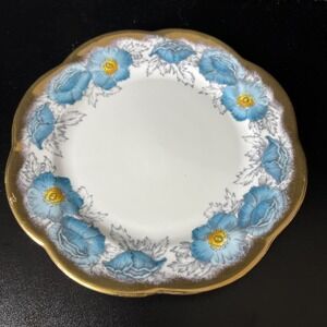 Vintage Salisbury fine bone china iceland blue poppy 3291‎ made in England